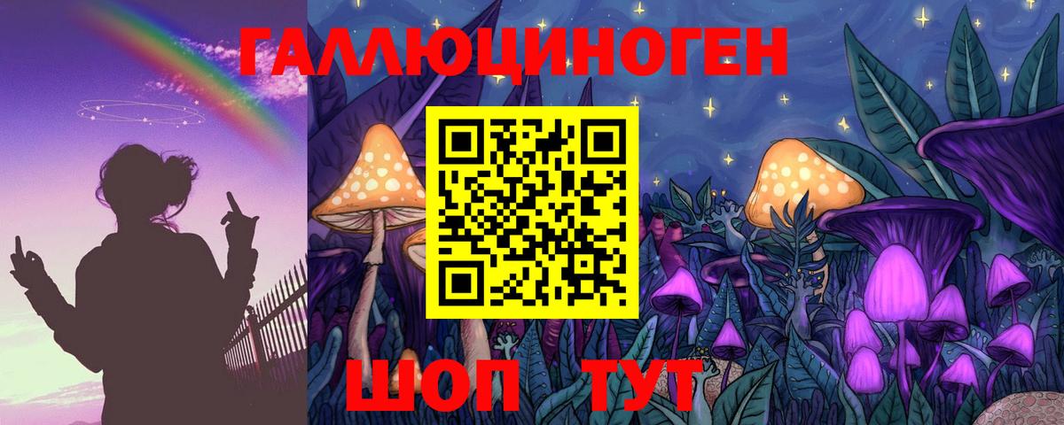 Дагестанские Огни  Псилоцибиновые грибы мицелий  Вход с VPN 
